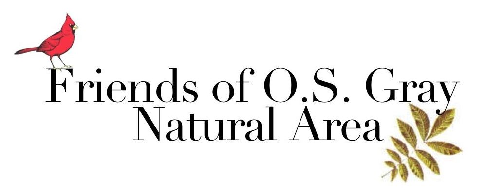 Friends of O.S. Gray Natural Area